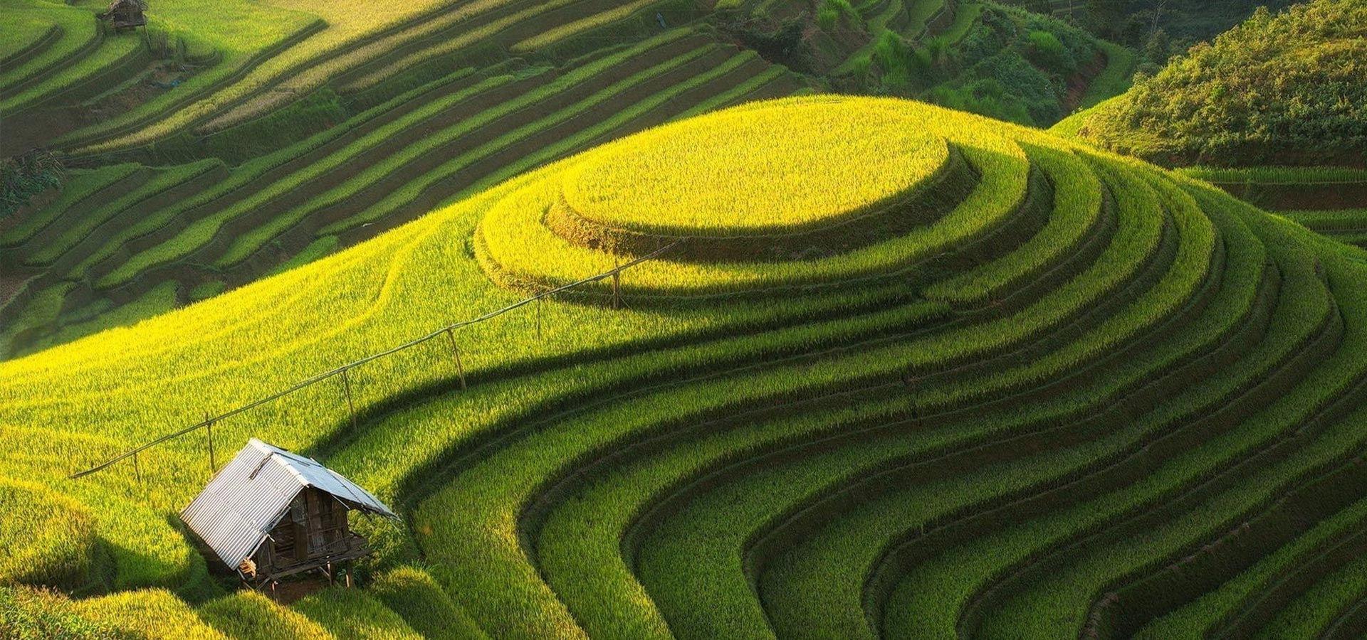 服務(wù)于農(nóng)，應(yīng)用廣泛